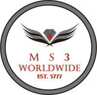 MS3 WorldWide