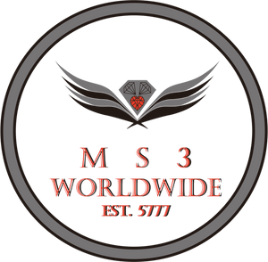 MS3 WorldWide