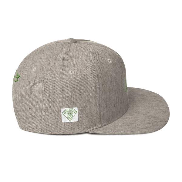 Kiwi Lion Snapback