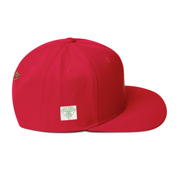 Kiwi Lion Snapback